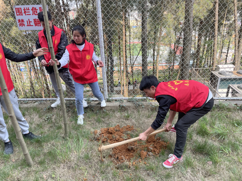 电气工程系学生参加“种树植心，为党献礼”植树活动