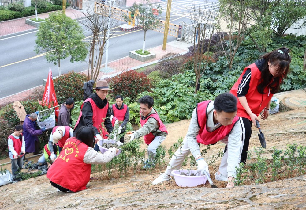 马克思主义教学部党支部开展“植此青绿•共护校园”主题党日活动